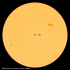 SDO/HMI Continuum Image of the Sun